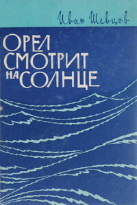 Орел смотрит на солнце - Иван Михайлович Шевцов