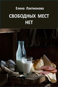 Свободных мест нет - Елена Георгиевна Лактионова