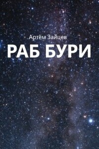 Раб Бури - Артем Зайцев