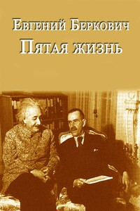 Пятая жизнь. Предварительные итоги в вопросах и ответах - Евгений Михайлович Беркович