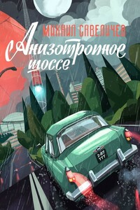 Анизотропное шоссе. Путеводитель по дорогам, которые выбирают - Михаил Валерьевич Савеличев