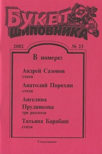 Сосуд скудеющий - Ангелина Владимировна Прудникова