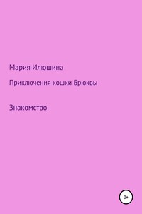 Приключения кошки Брюквы. Знакомство - Мария Анатольевна Илюшина