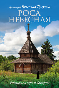 Роса небесная. Рассказы о вере и безверии - Вячеслав Геннадьевич Тулупов