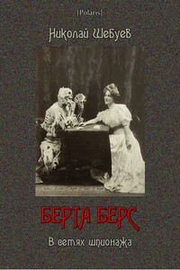 Берта Берс. В сетях шпионажа - Николай Георгиевич Шебуев