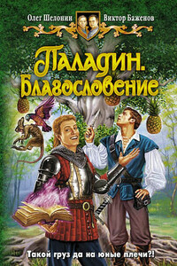 Паладин. Благословение - Олег Александрович Шелонин