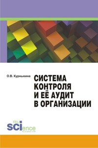 Система контроля и её аудит в организации - Ольга Васильевна Курныкина