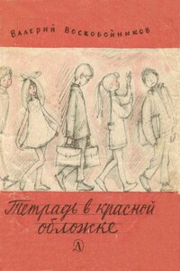 Тетрадь в красной обложке - Валерий Михайлович Воскобойников