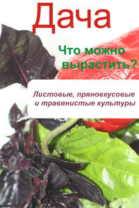 Что можно вырастить? Листовые, пряновкусовые и травянистые культуры - автор неизвестный