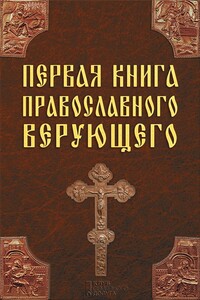 Первая книга православного верующего - Павел Евгеньевич Михалицын