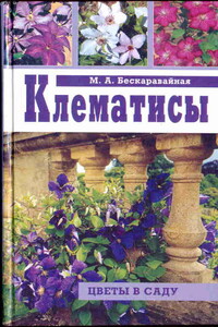 Клематисы - Маргарита Алексеевна Бескаравайная